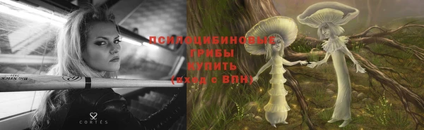 а пвп мука Белокуриха
